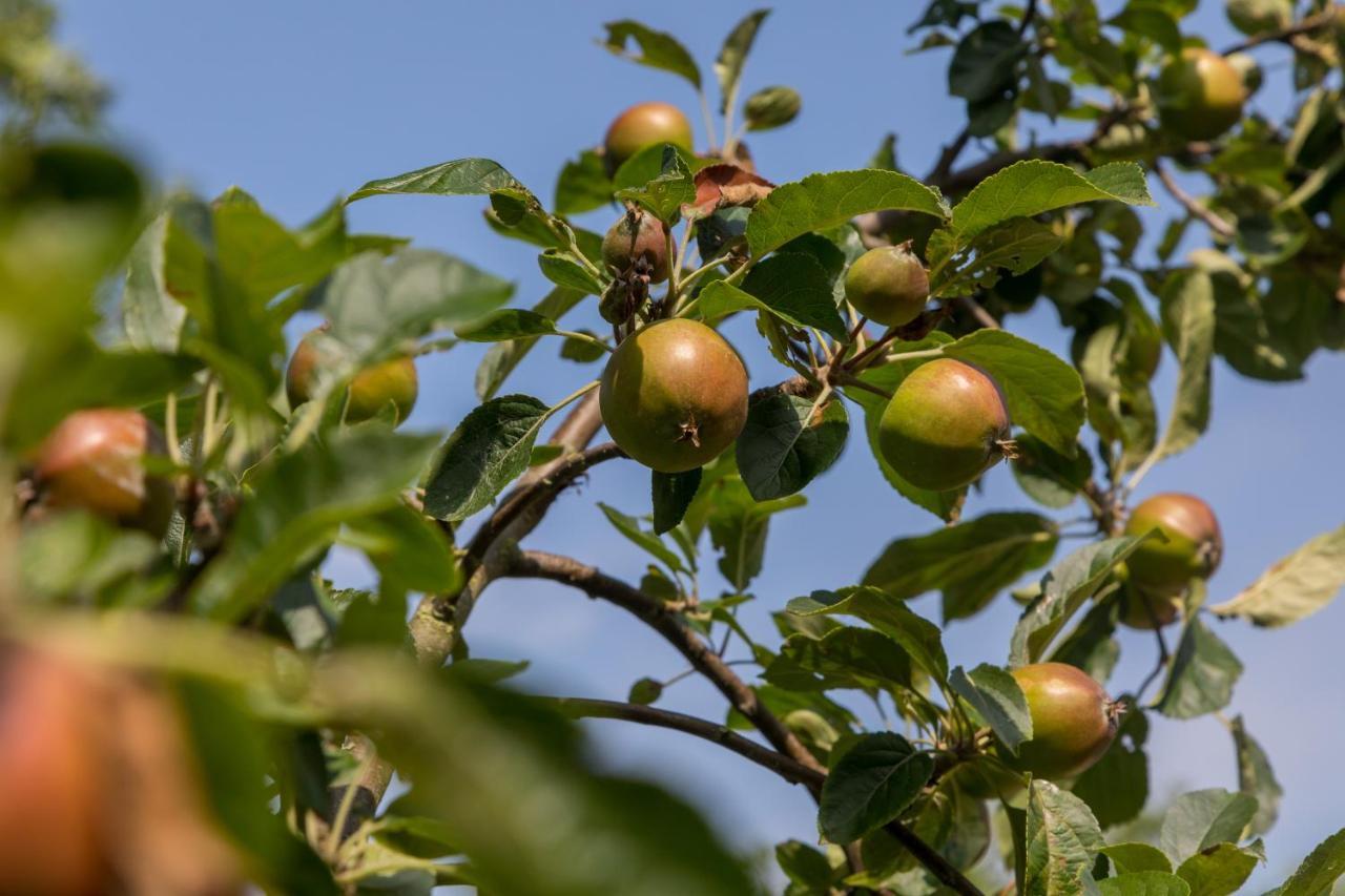 De Notenboom Meliskerke Dış mekan fotoğraf