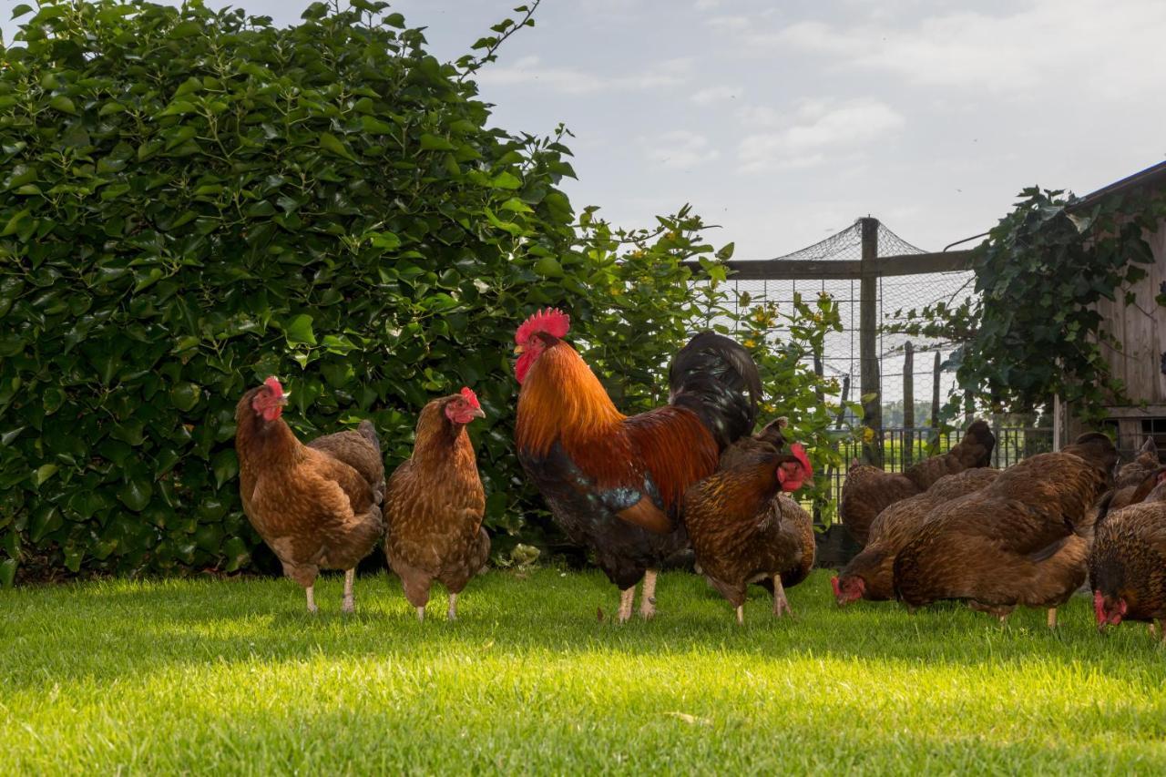 De Notenboom Meliskerke Dış mekan fotoğraf